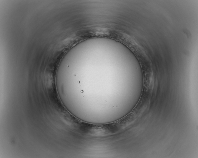 X0000114140704200910221525