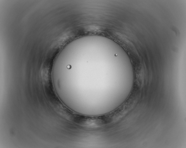 X0000114140708200910221525