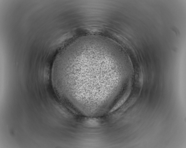 X0000114140710200910221525