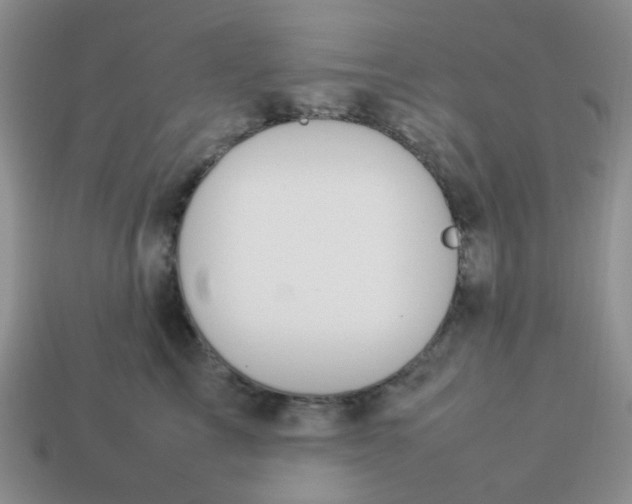 X0000114140713200910221525