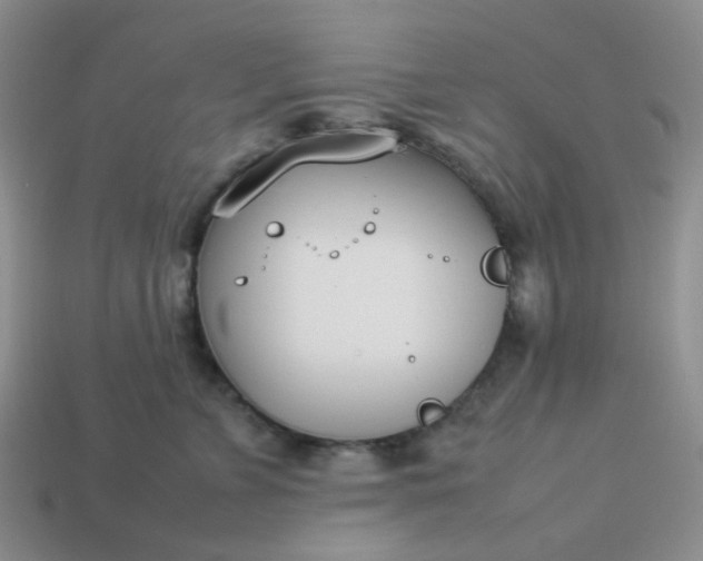 X0000114140715200910221525