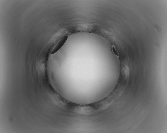 X0000114140716200910221525