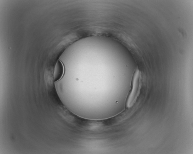 X0000114140719200910221525