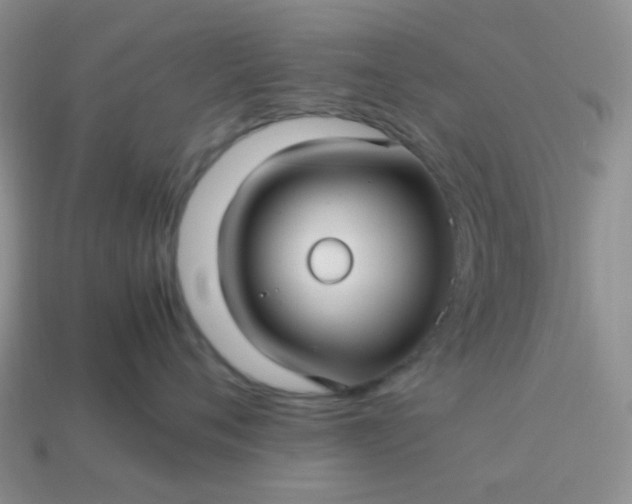 X0000114140720200910221525