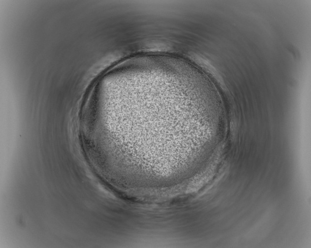 X0000114140721200910221524