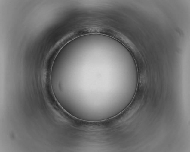 X0000114140722200910221524