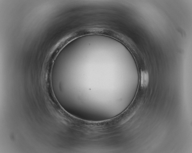 X0000114140723200910221524