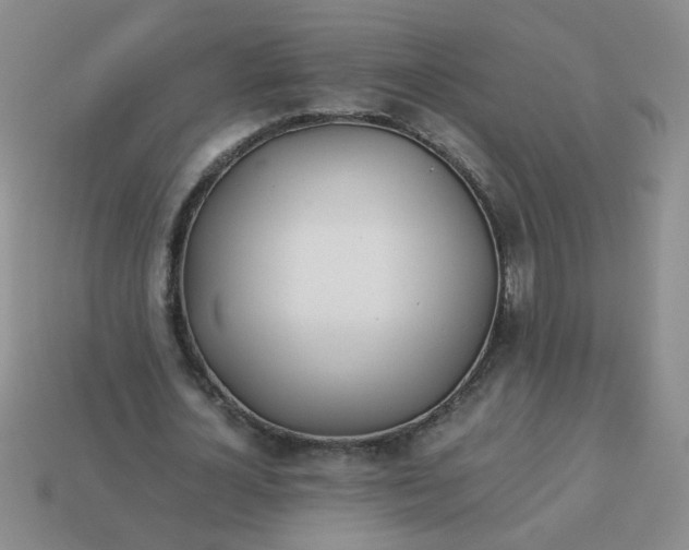 X0000114140724200910221524