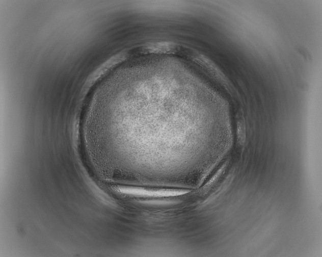 X0000114140725200910221524