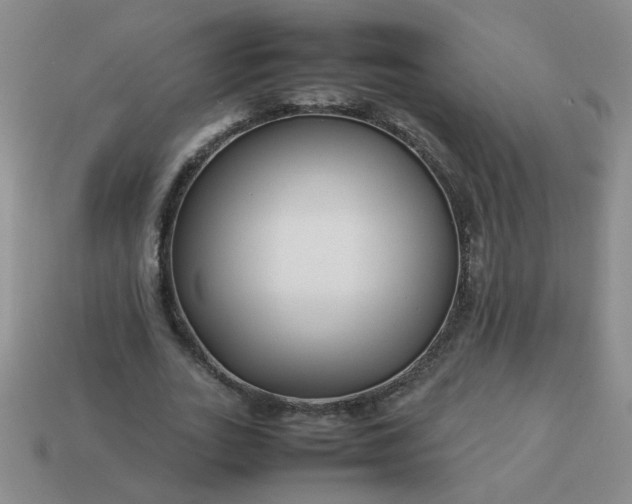 X0000114140727200910221524