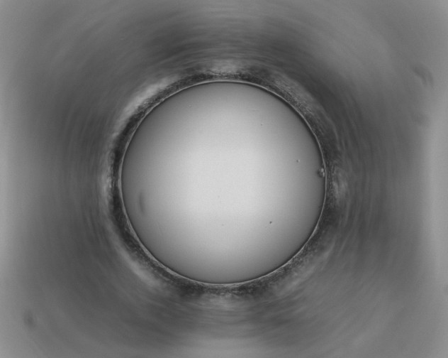 X0000114140728200910221524