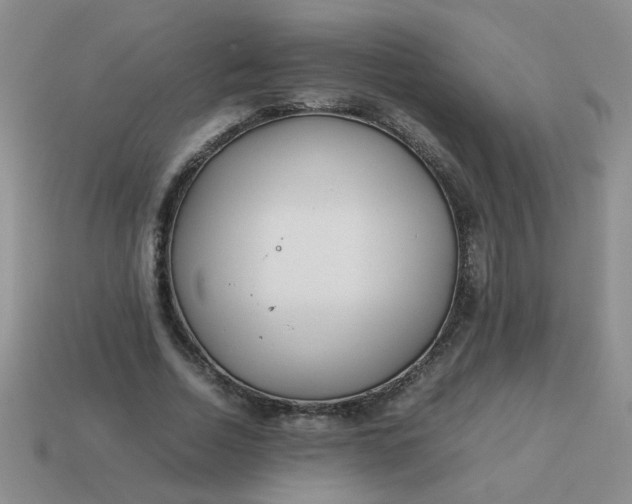 X0000114140730200910221524