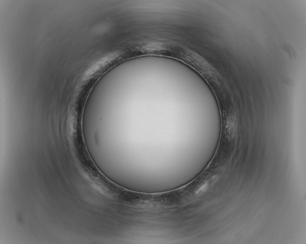 X0000114140732200910221524