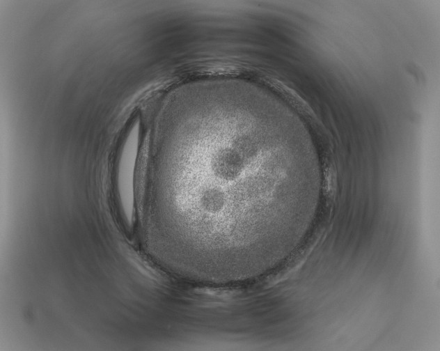 X0000114140733200910221524