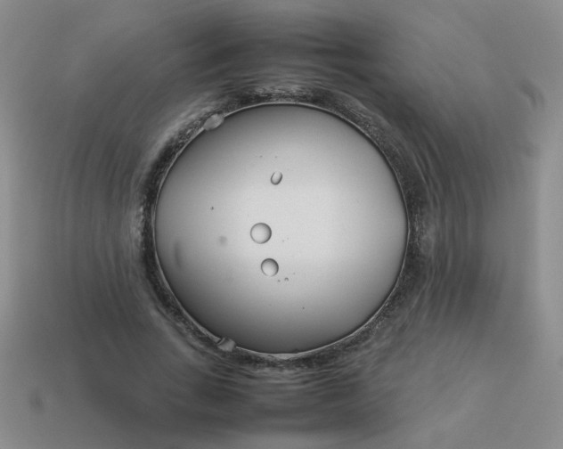 X0000114140735200910221524