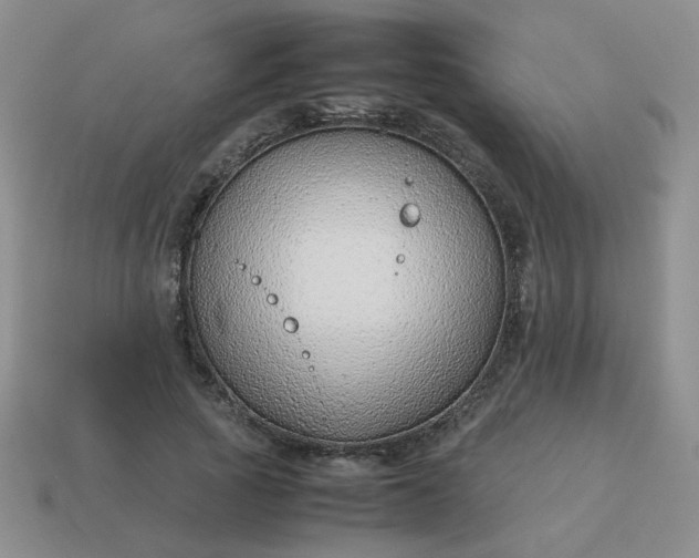 X0000114140737200910221524