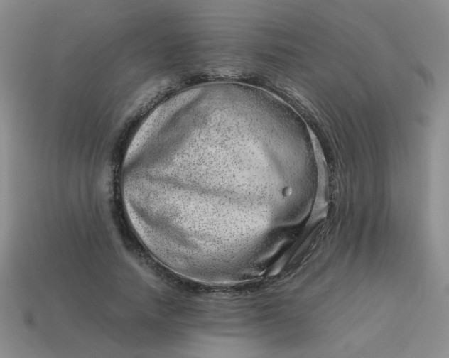 X0000114140738200910221524