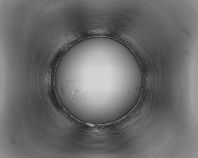 X0000114140739200910221524