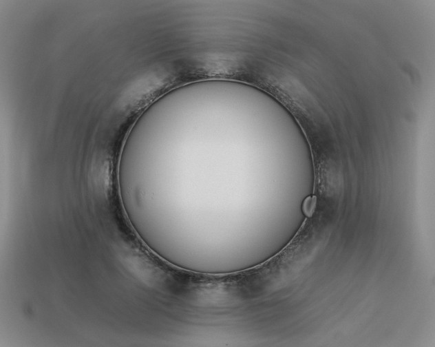 X0000114140740200910221524