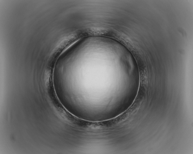 X0000114140742200910221524