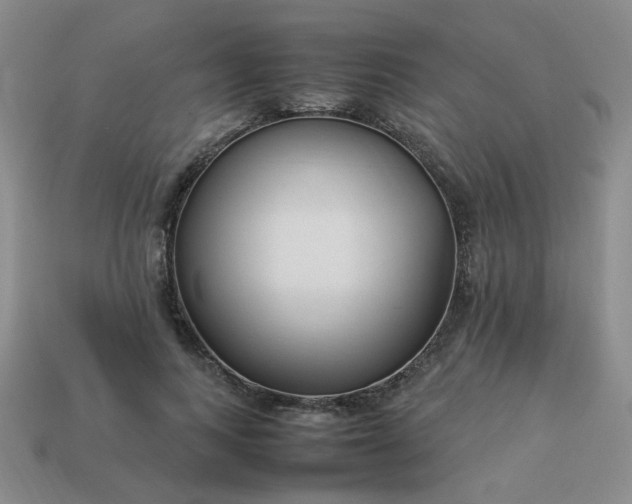 X0000114140743200910221524