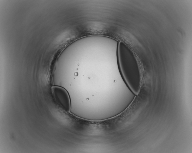 X0000114140744200910221524