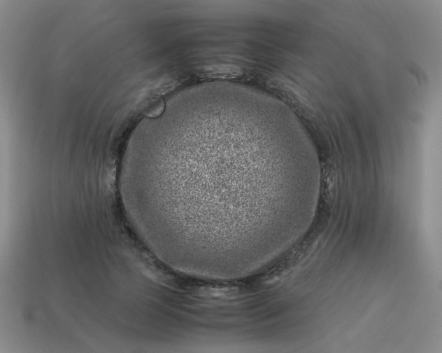 X0000114140745200910221524