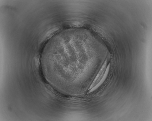 X0000114140746200910221524