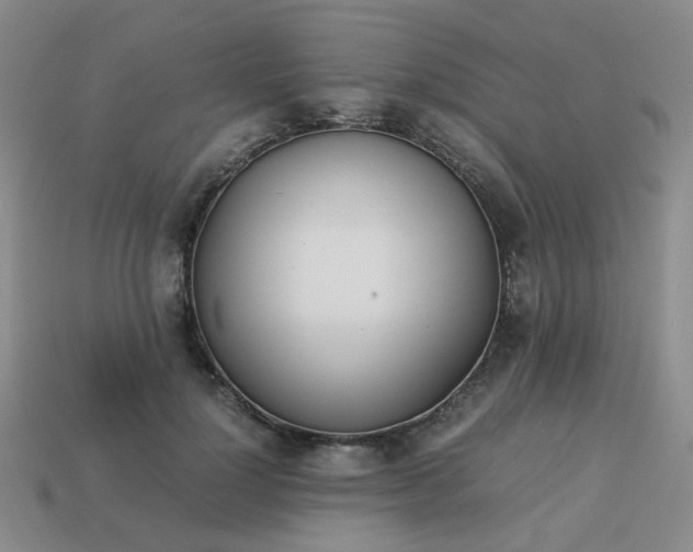 X0000114140748200910221525