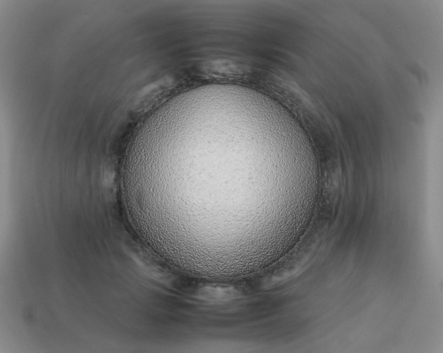 X0000114140749200910221525