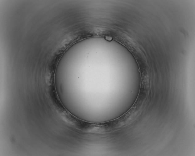 X0000114140750200910221525