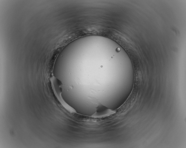 X0000114140751200910221525