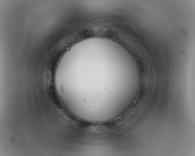 X0000114140752200910221525