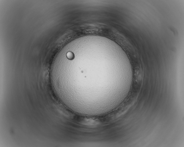 X0000114140753200910221525