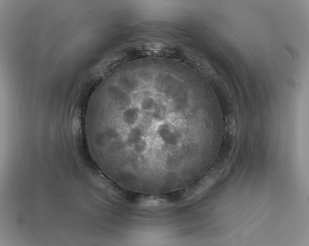 X0000114140754200910221525