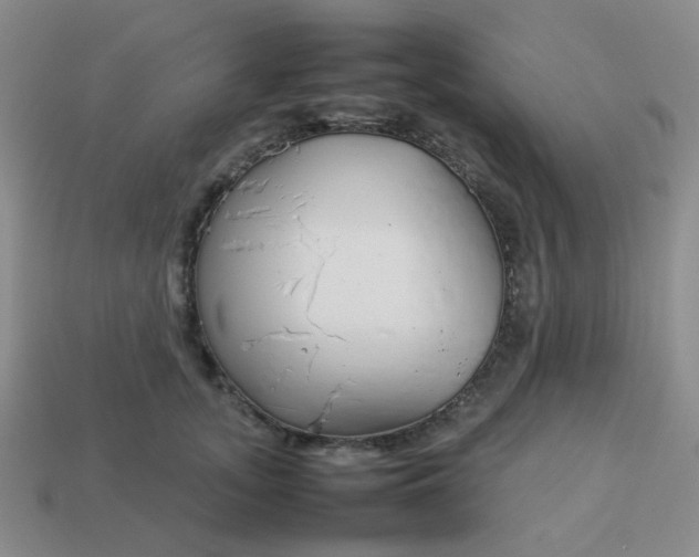 X0000114140755200910221525