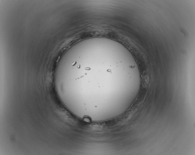 X0000114140756200910221525