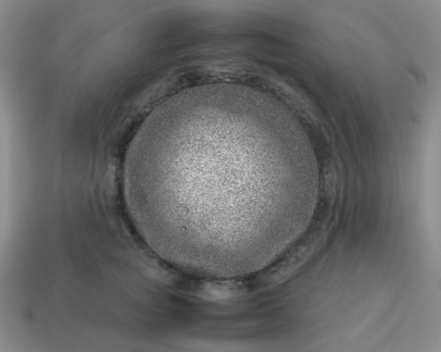 X0000114140757200910221525