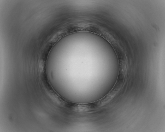 X0000114140758200910221525