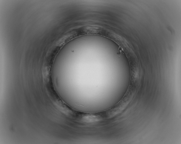 X0000114140759200910221525