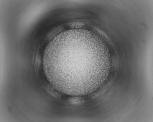 X0000114140761200910221525