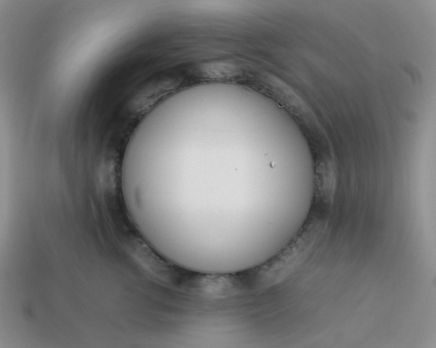 X0000114140762200910221525