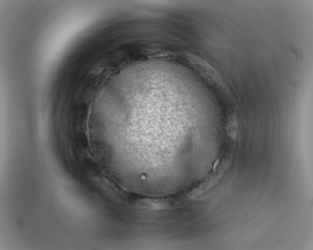 X0000114140763200910221525