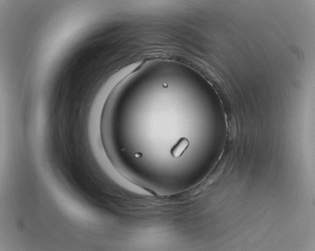 X0000114140764200910221525