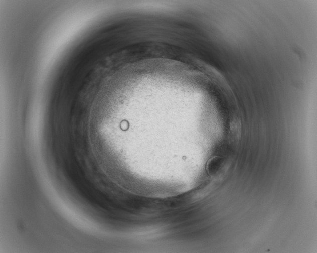 X0000114140765200910221525