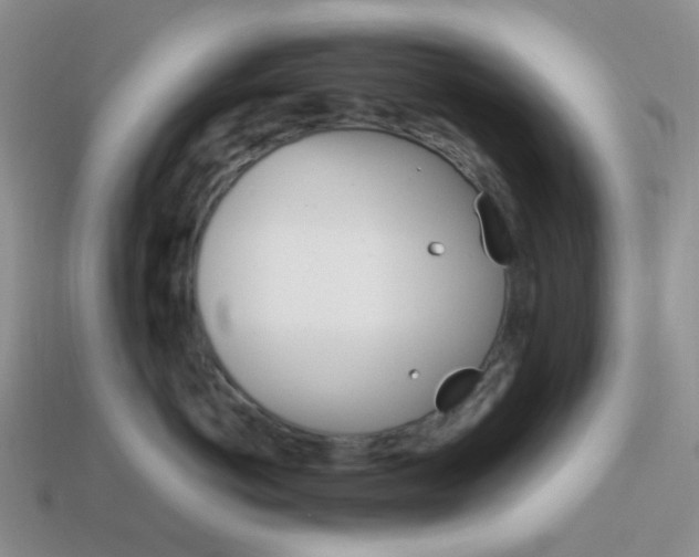 X0000114140766200910221525