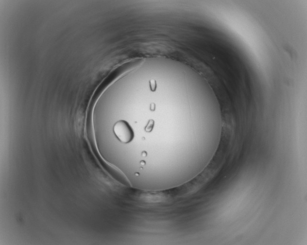 X0000114140767200910221525