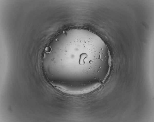 X0000114140769200910221524