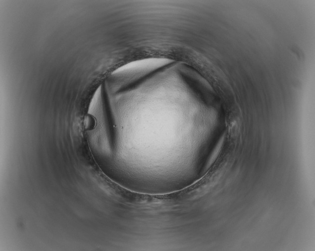 X0000114140772200910221524