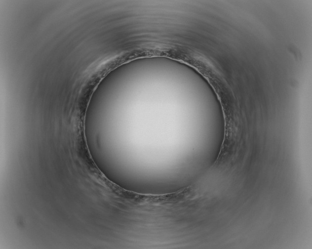 X0000114140773200910221524